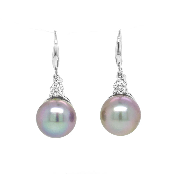 Grey South Sea Pearl Earrings White Gold E010N